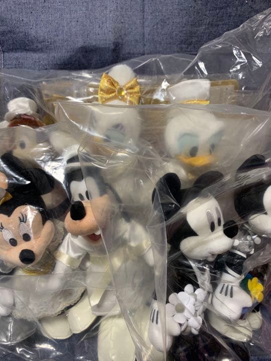 ディズニーランド　ワンマンズ・ドリームⅡ　ポージーポージープラッシー　セット