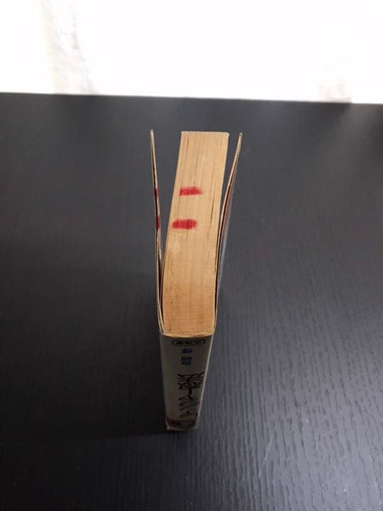 レインジャー忍法　冒険のヒーローになれる　宮崎惇