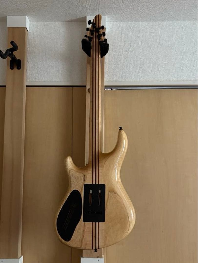 MAYONES Regius6（商品の説明をお読みください）