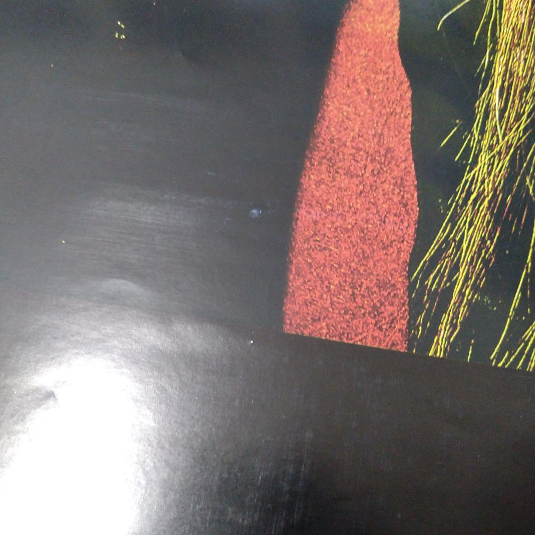 the GazettE 葵 ジェムケリー ポスター V系 ヴィジュアル系