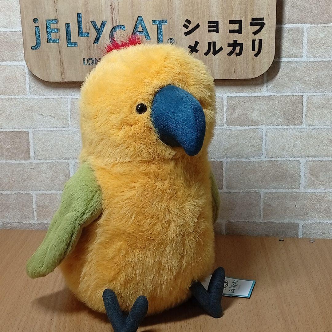 ジェリーキャット インコ 鸚哥  Budgeby Parrot