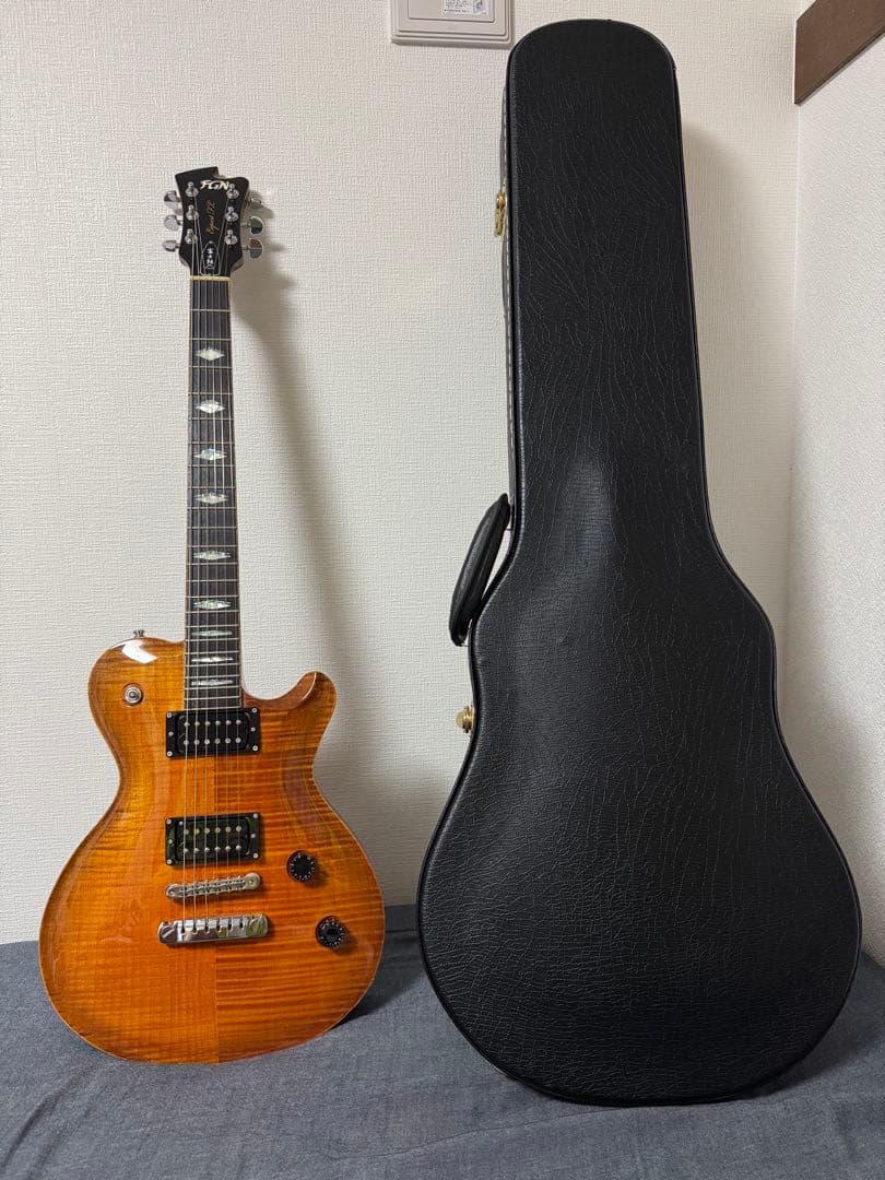 ギター FUJIGEN EFL-FM/VV