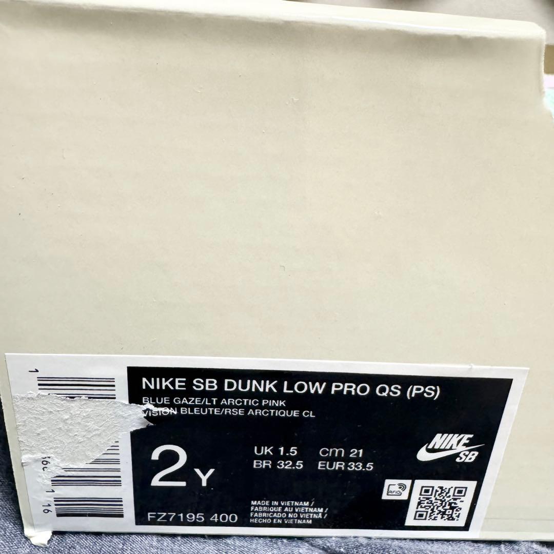 VERDY × Nike SB Dunk Low Pro QS PS 21.0