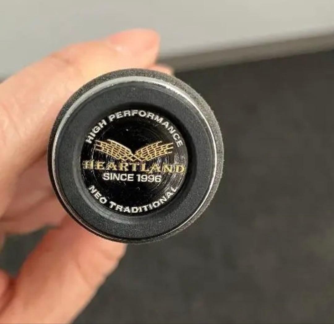 【希少】ダイワ ハートランド HL 6101MSB-SV12 釣り竿