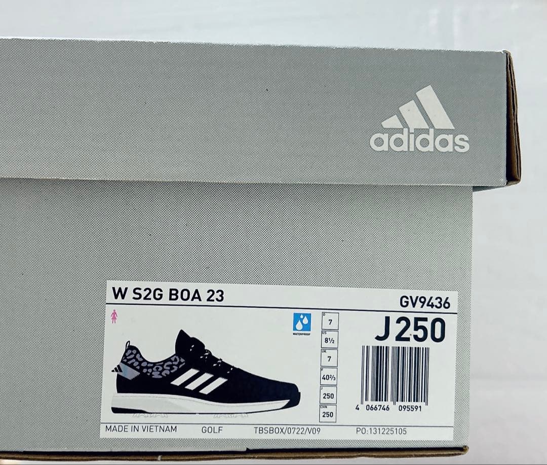 アディダス レディース　ゴルフシューズ 珍しい おしゃれ おすすめ 人気　女性用