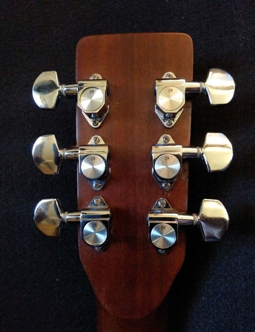 Fernandes　フェルナンデス　w-300　縦ロゴ　美品