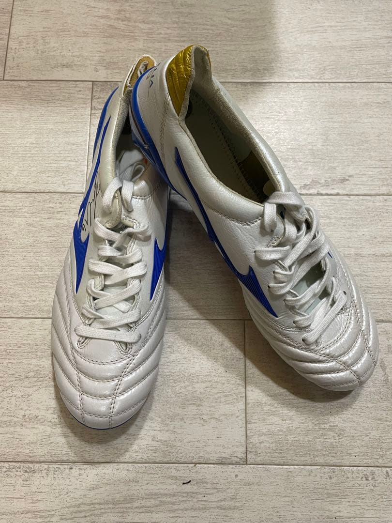 【支給品】モレリアネオ2 26.5. MixSG