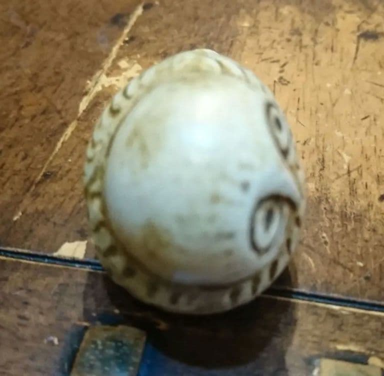 リサラーソンLisa Larson Lions Mini Zoo陶器 三点セット