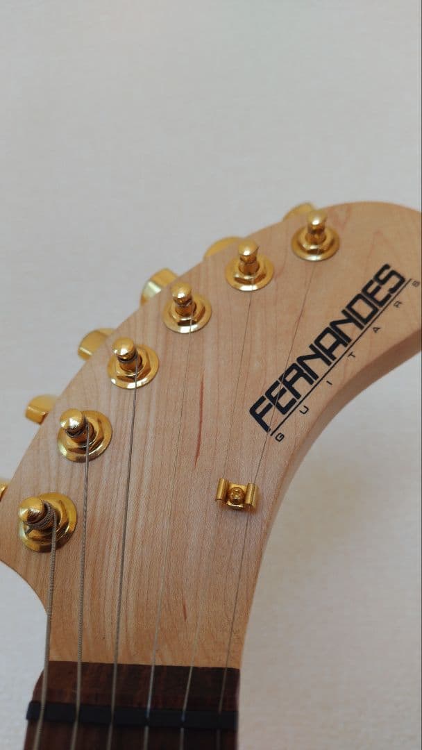 ギター FERNANDES DIGI-ZO HYPER