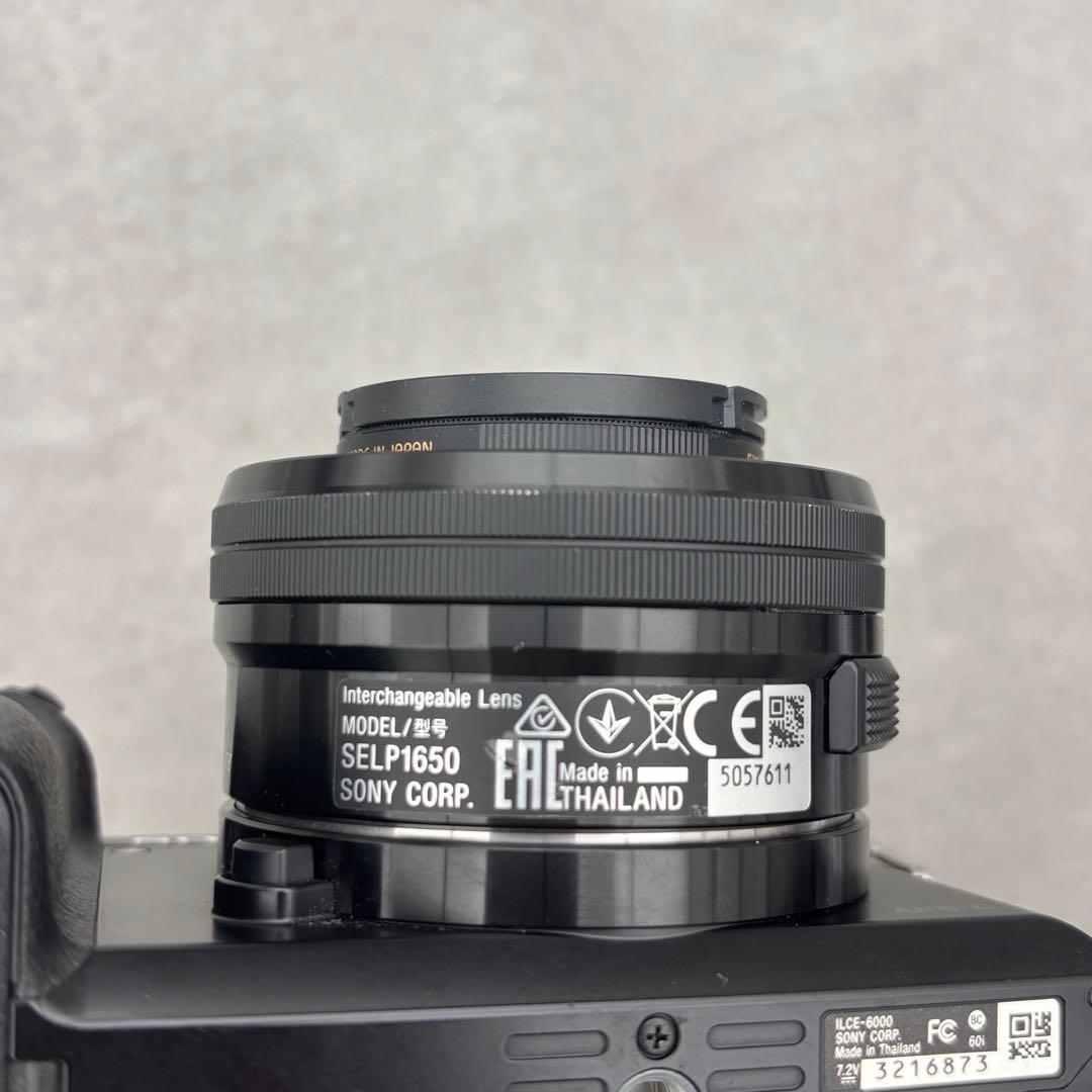ミ*ギ様 SONY α6000 ミラーレス一眼カメラ レンズセット+ SEL35
