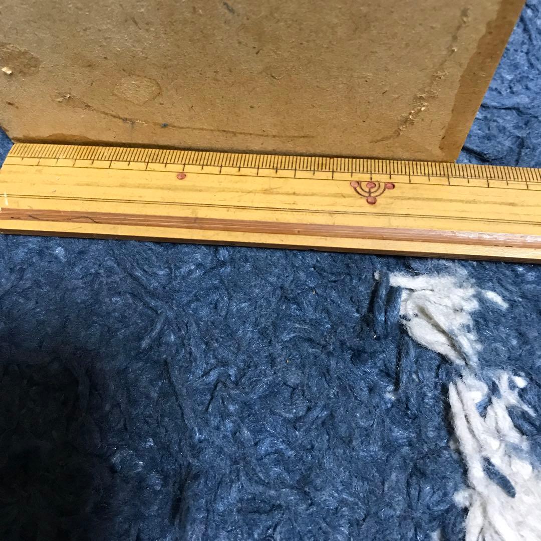 カブトムシ　クワガタ　飛翔標本　タイで購入