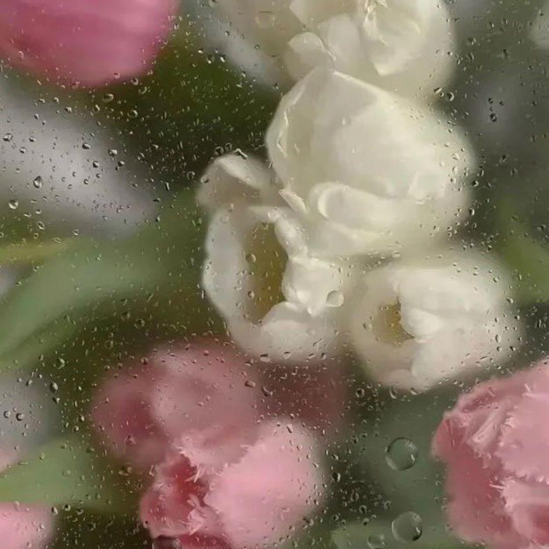 いしぽむぷりん