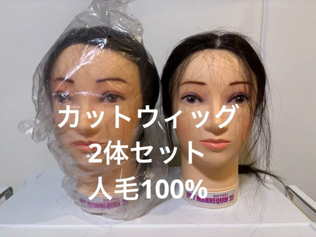 REGINA カットウィッグ2体セット　人毛100% 美容師カット練習用