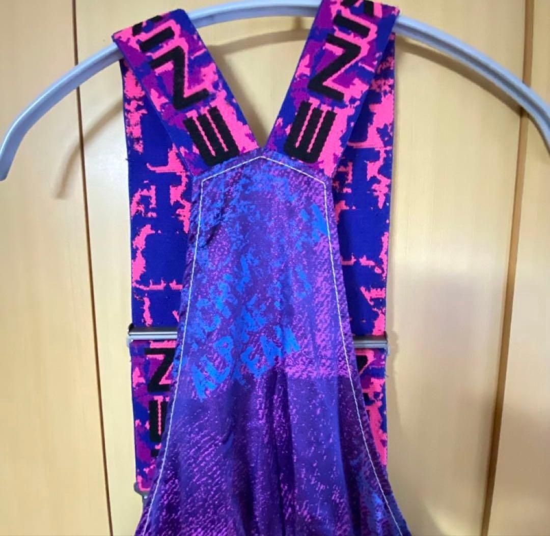 PHENIX ノルウェー代表モデル スキーウェア 上下 M 美品　2/6まで！