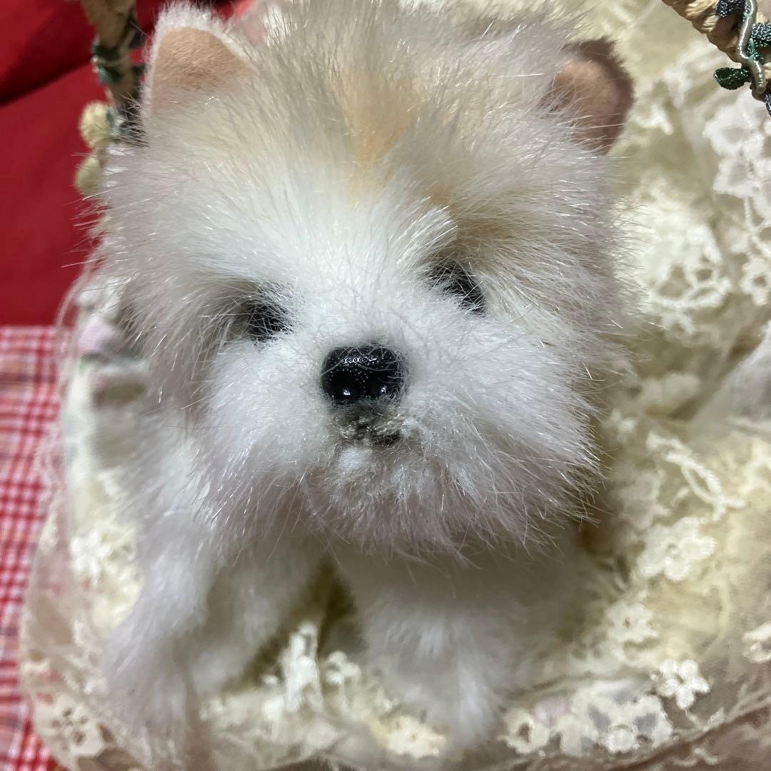 ぬいぐるみ　犬　ヨークシャテリア　子犬　わんちゃん　リアル　テリア　ヨーキー