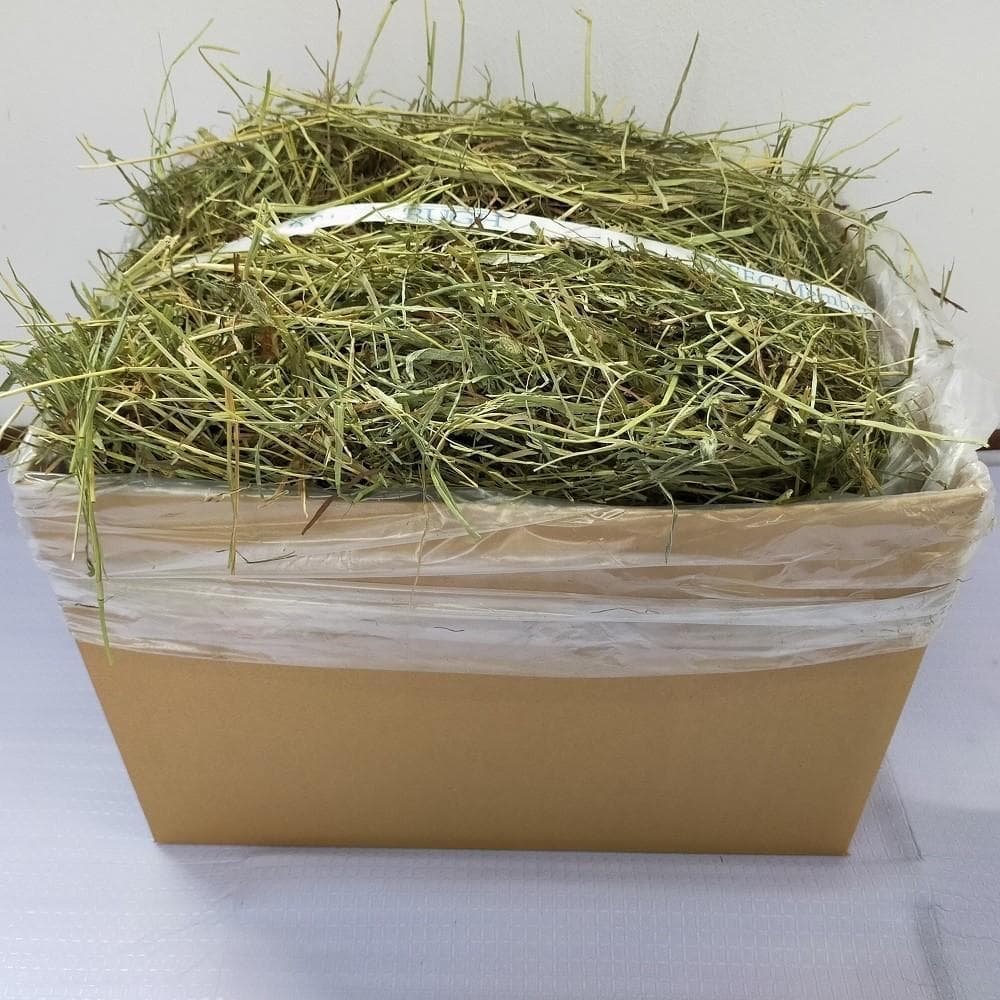 【処分価格】US産 チモシー 75kg ２番刈 ソフトSプレミアム