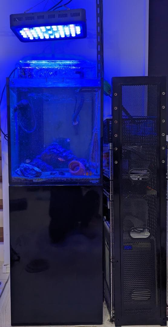 オーバーフロー　水槽　45センチ