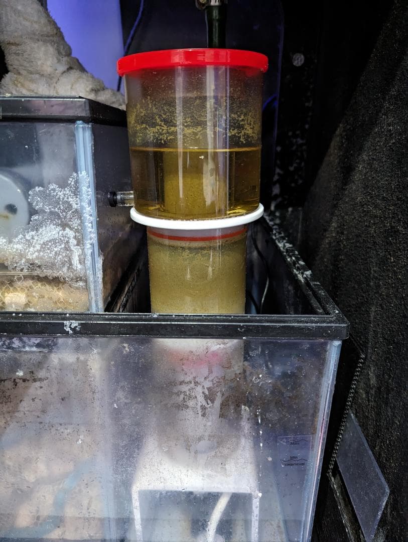 オーバーフロー　水槽　45センチ