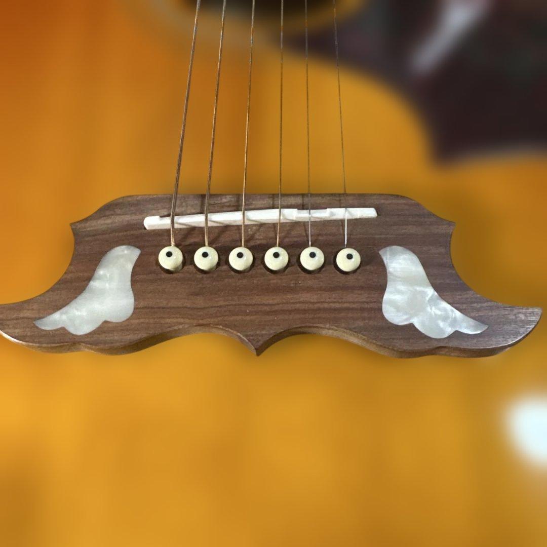 Epiphone / エピフォン Dove PRO/VB　エレアコ　ケース付き