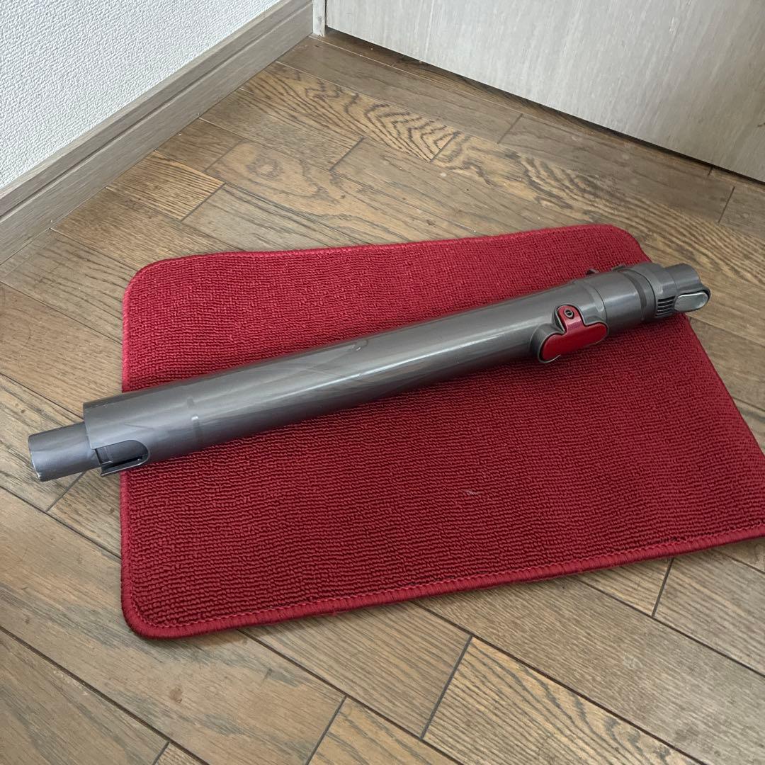 ピ*ロ様 Dyson DC48