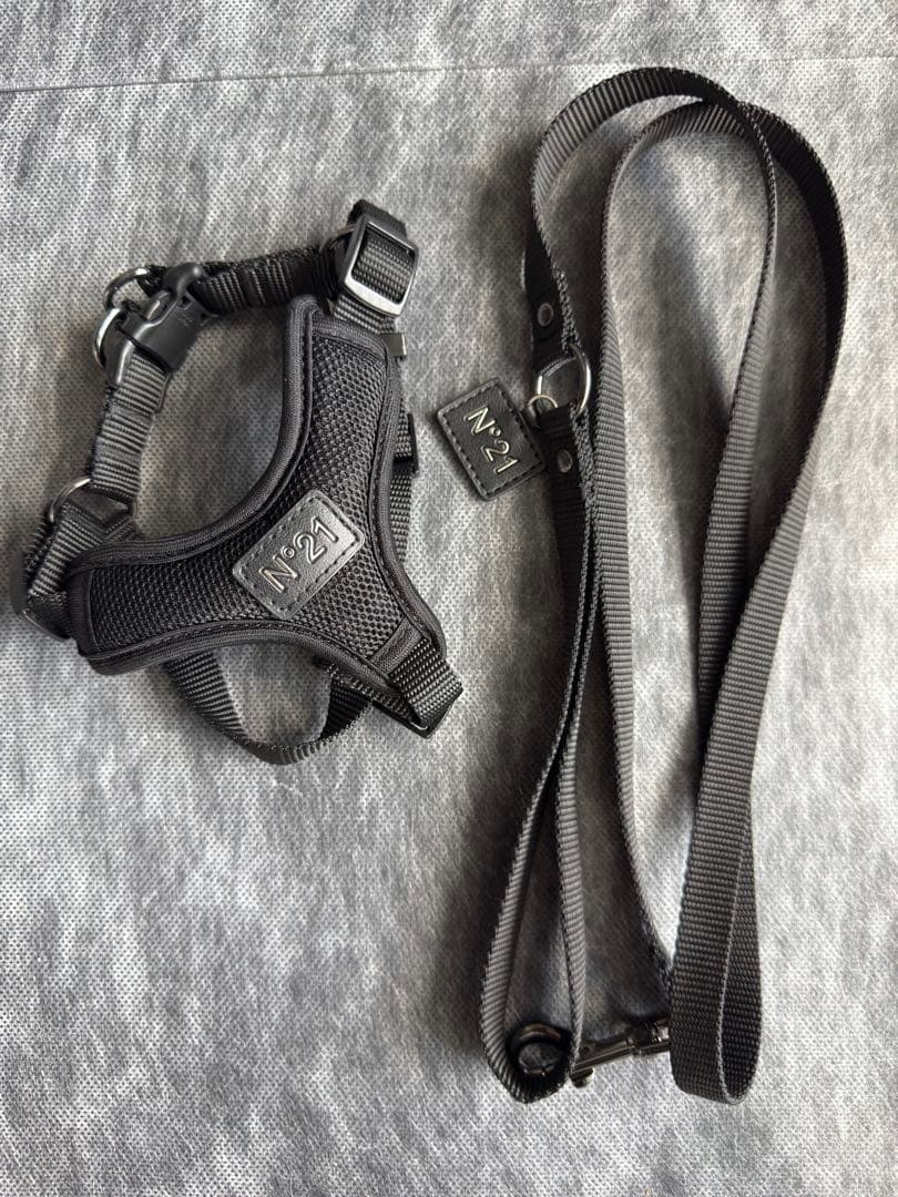 n°21 ハーネス&リード&ウィンドブレーカー