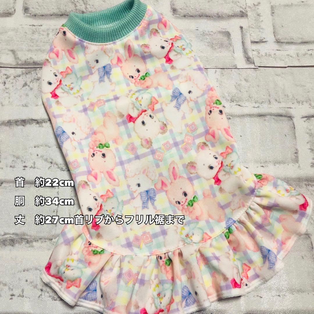 ⭐︎犬服⭐︎handmade