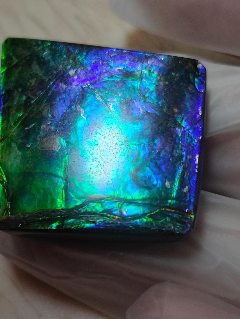 アンモライト　ルース　24-0743 37500