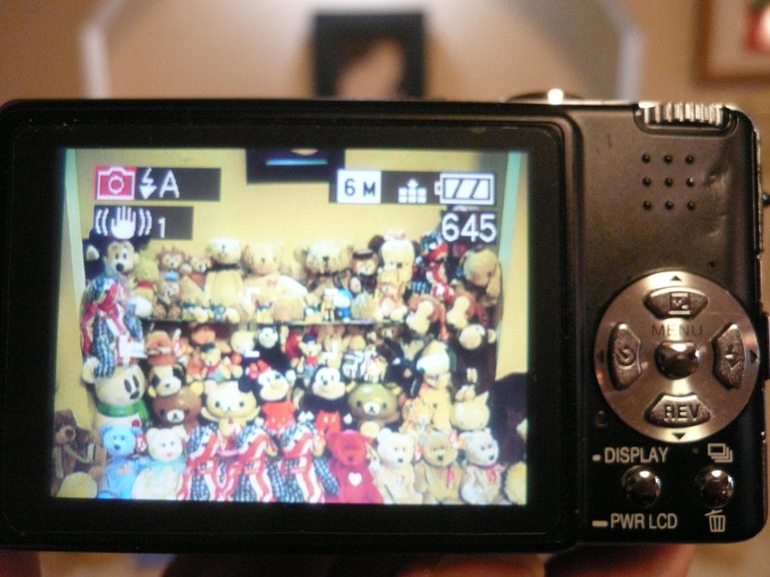 LUMIX★DMC-FX9⚠️一カ所傷有り⭕️安心の実働品★ブラック