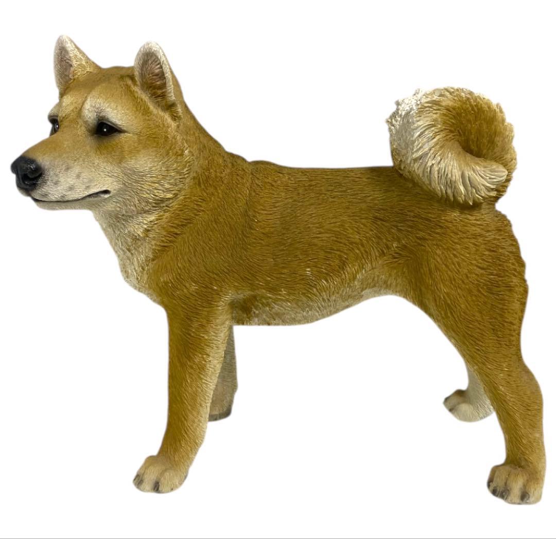 リアル！本物そっくり！ 等身大！？ 柴犬　置物　25オ411