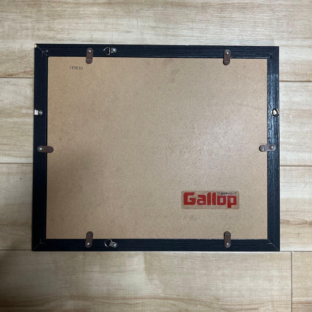 藤田菜七子騎手×サニーデイズ 額装写真パネル