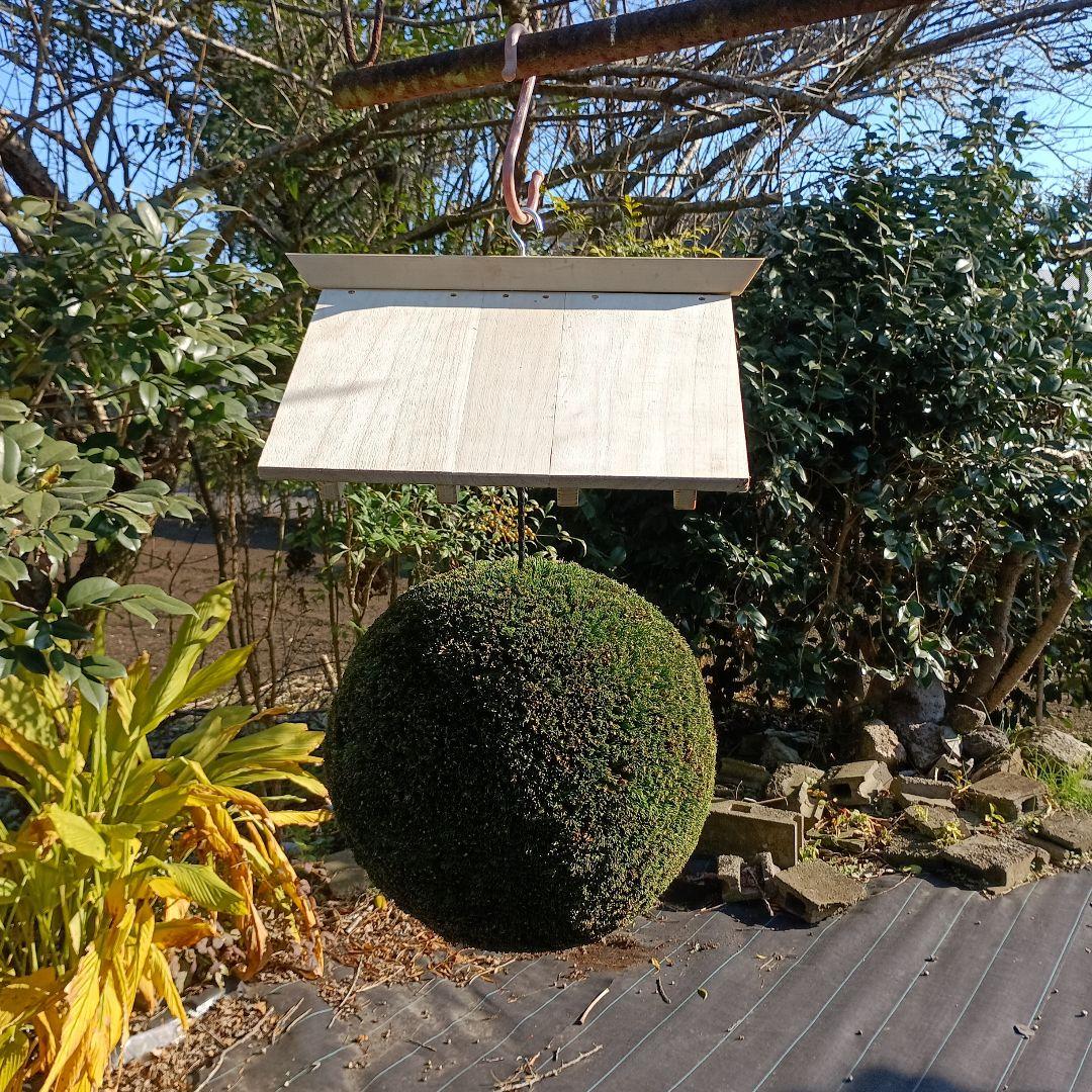杉玉　直径37ｃｍ 屋根付き