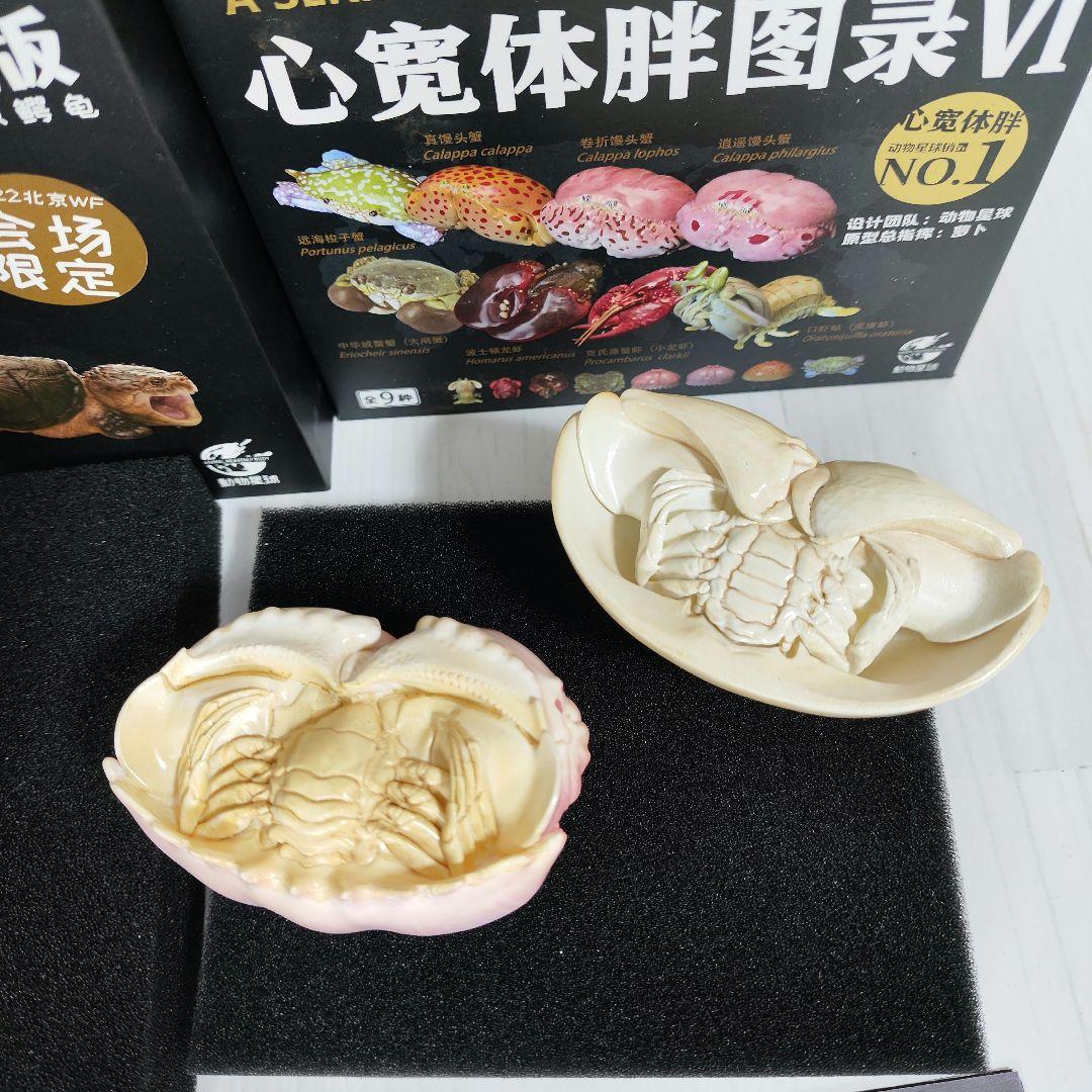 【動物の惑星】激レア★カミツキガメ限定品+カラッパ廃盤品!! フィギュア