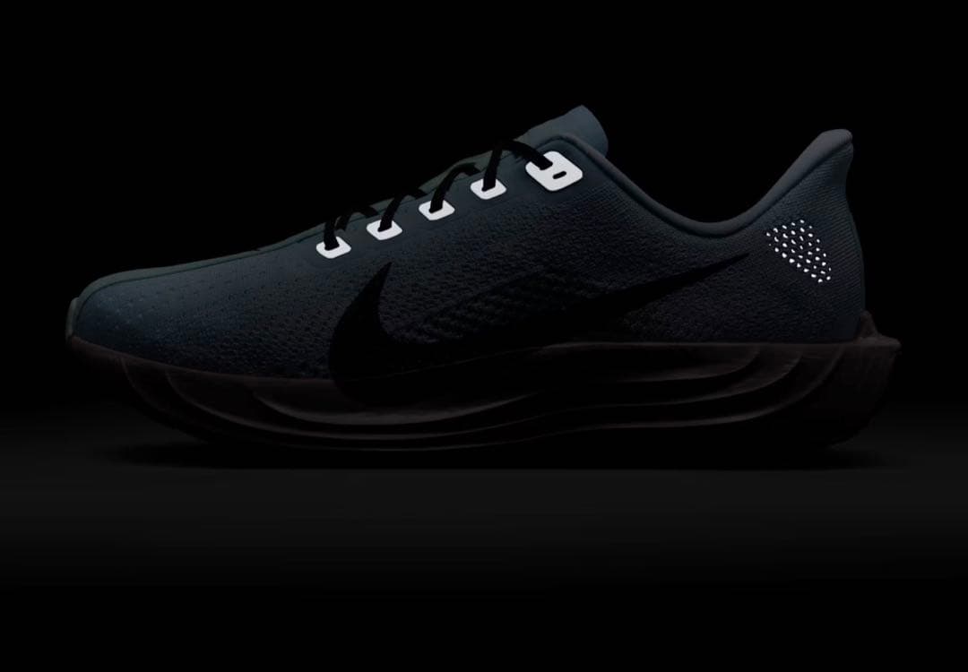 ナイキ ペガサス プラス　29.0