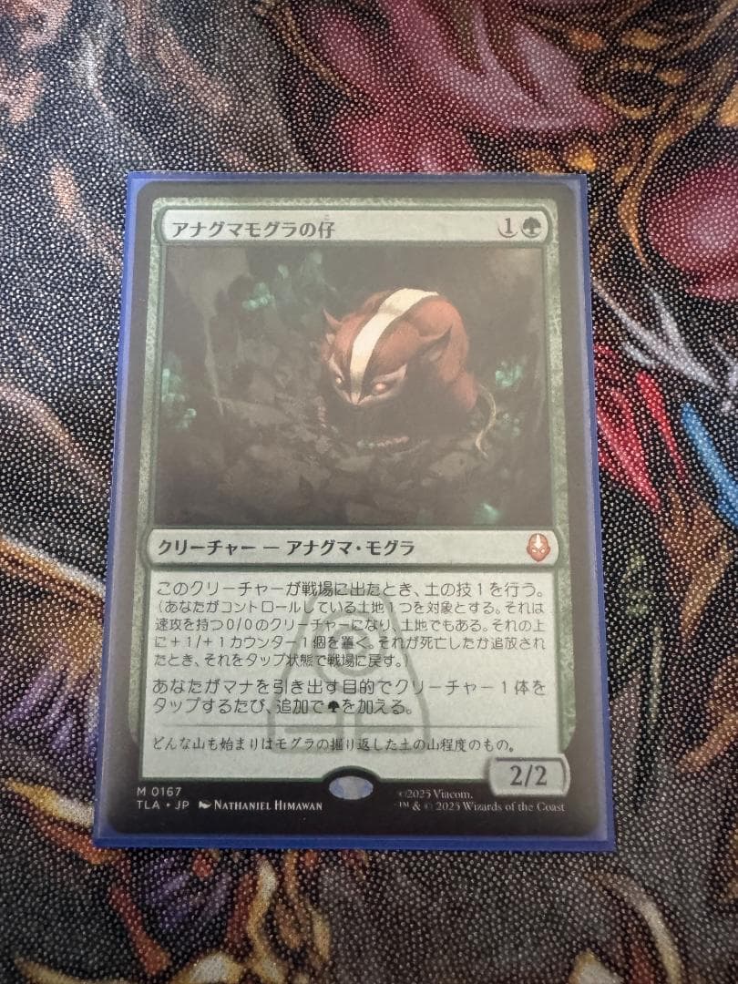 《アナグマモグラの仔/Badgermole Cub》【通常版】MTG