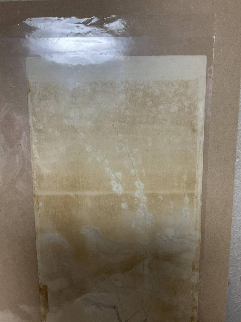 小原古邨 祥邨 豊邨 『梅に鶯』 明治後期作 木版画 真作 美品 鳥 ウグイス