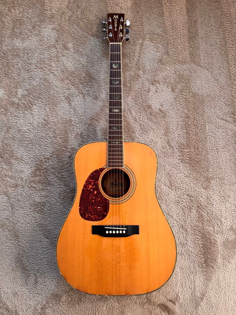 Morris モーリス W-40L レフティ アコギ カタログ付き