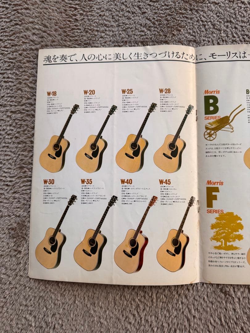 Morris モーリス W-40L レフティ アコギ カタログ付き