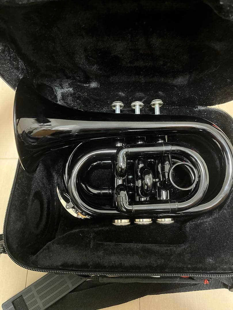 ポケットトランペット