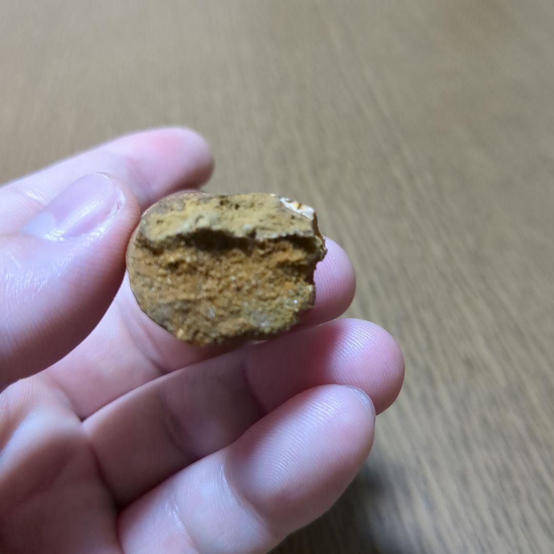 恐竜 化石 スピノサウルスの歯化石　　（値下げ交渉 可能‼️）