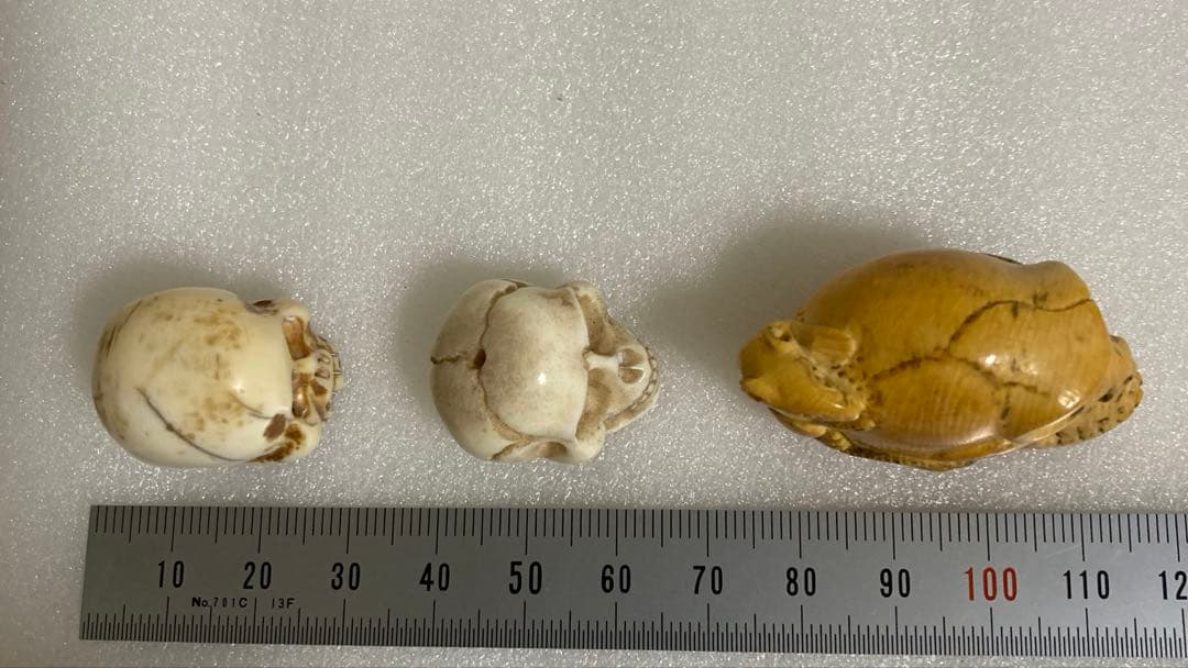 天然素材　髑髏　彫刻　根付　置物