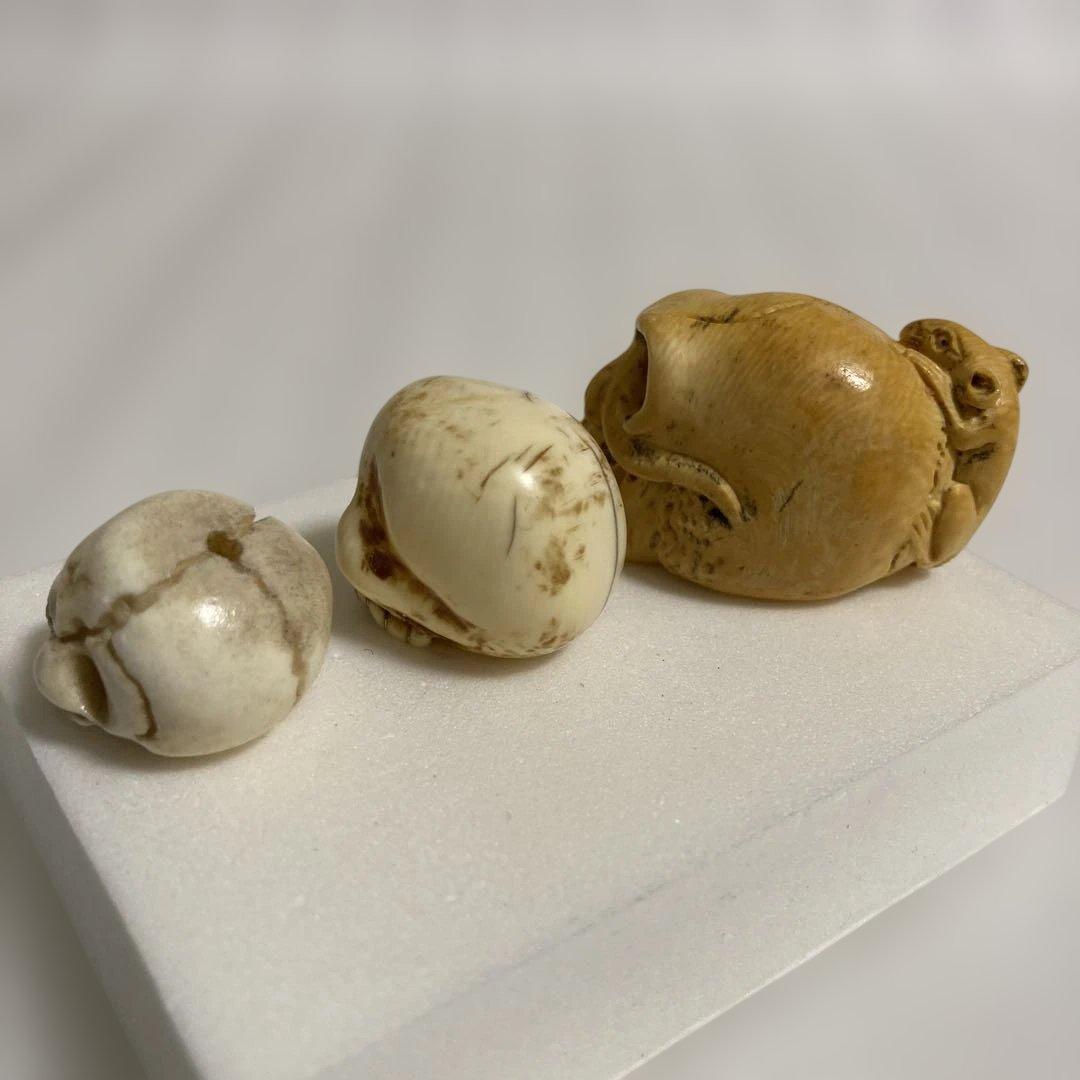 天然素材　髑髏　彫刻　根付　置物