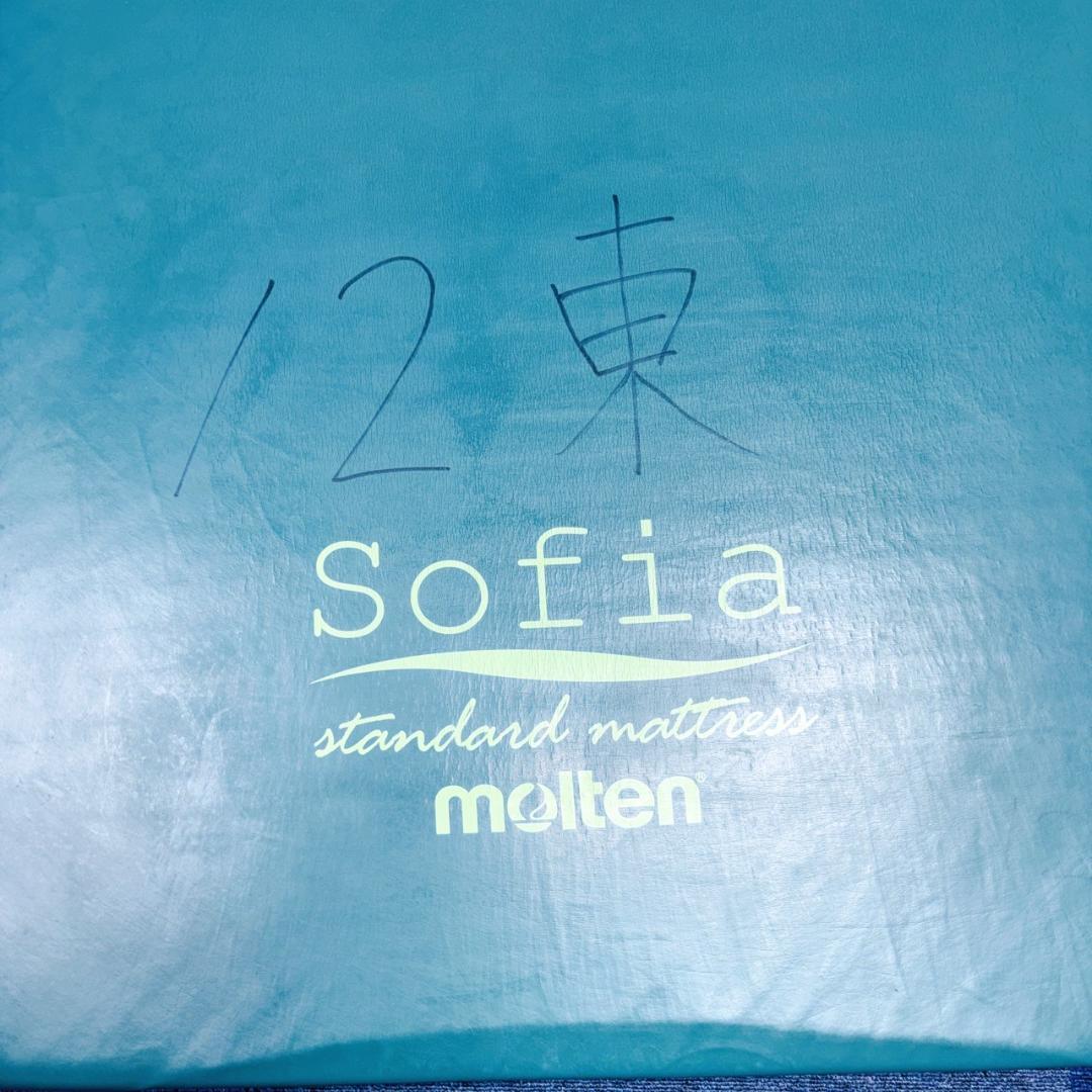 【送料込】molten ソフィアway 介護用マットレス リバーシブル 介護 ⑤