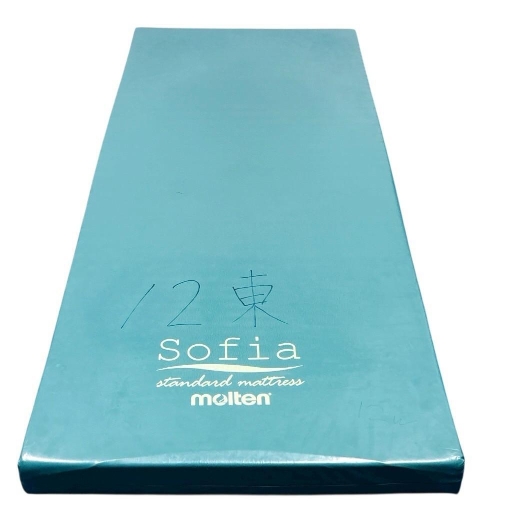 【送料込】molten ソフィアway 介護用マットレス リバーシブル 介護 ⑤