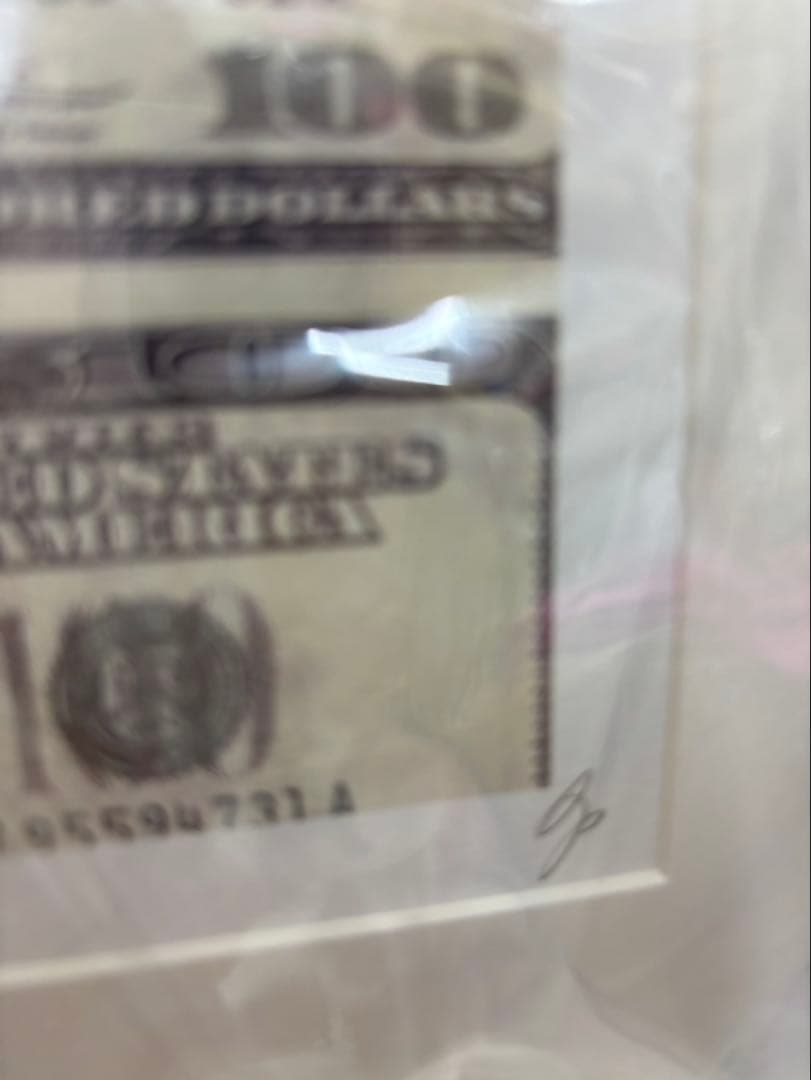 ドラゴンボール 額装品 (希望を捨てるな) サイン入り