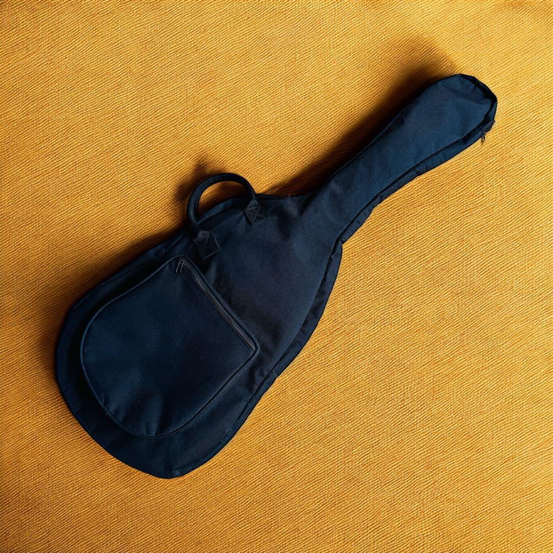 AriaProⅡ アリアプロ2 PE エレキギター