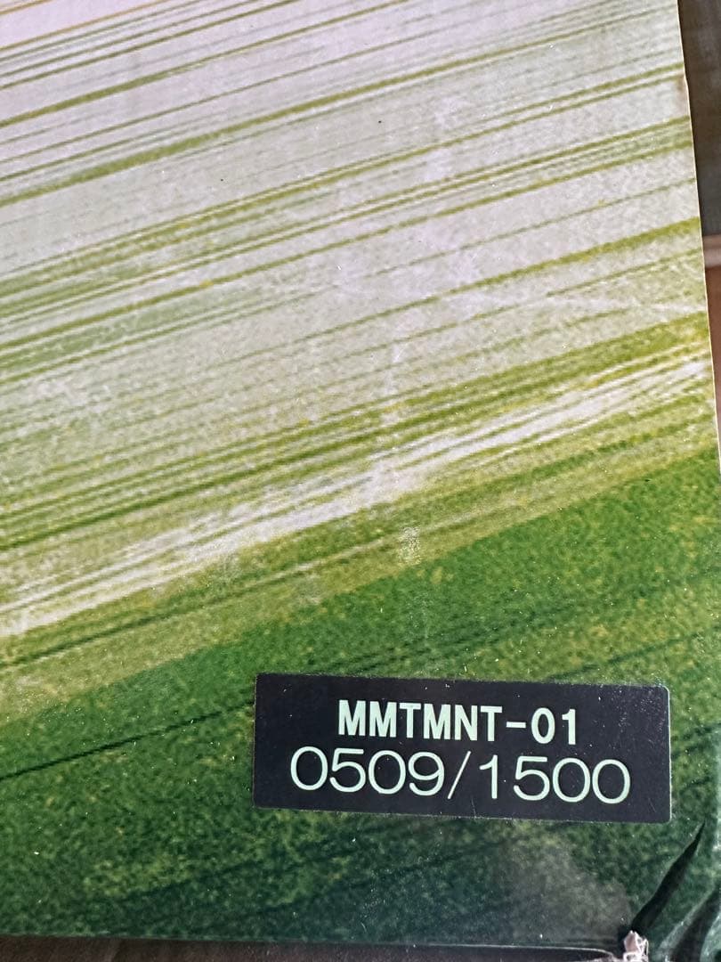 ミュータントタートルズ　PRIME 1 STUDIO ラファエロ　フィギュア