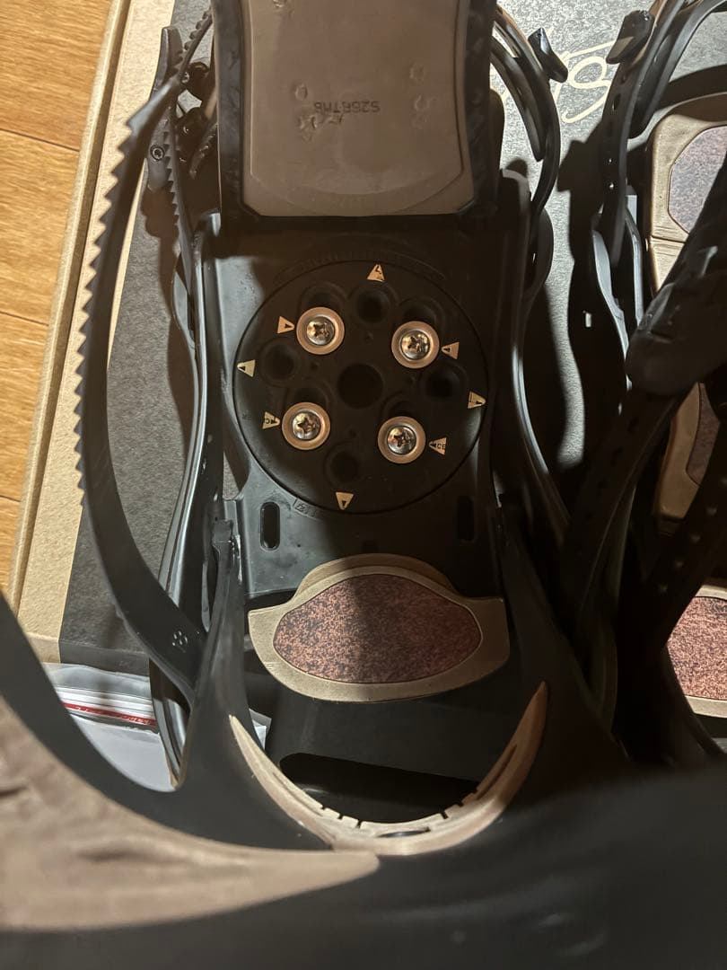 SLY β ビンディング