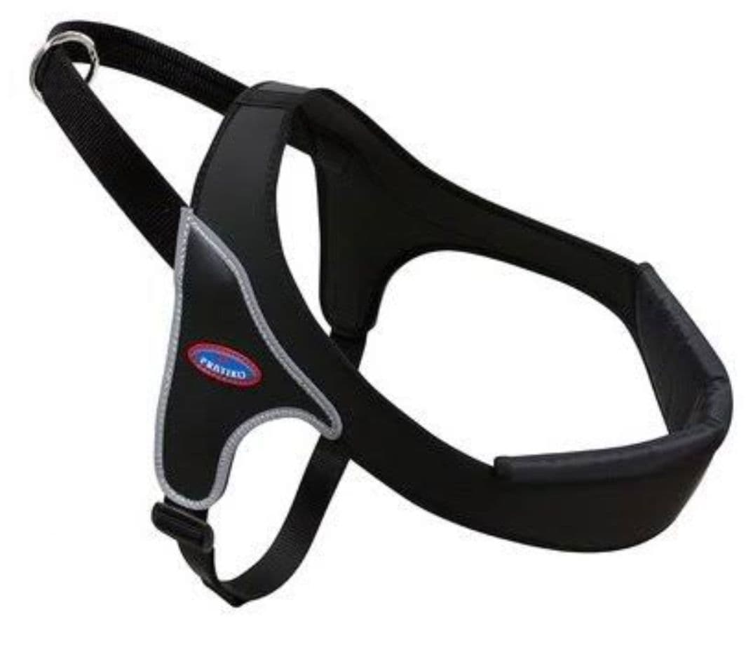 PRATIKO　ハーネス&リードセット　大型犬