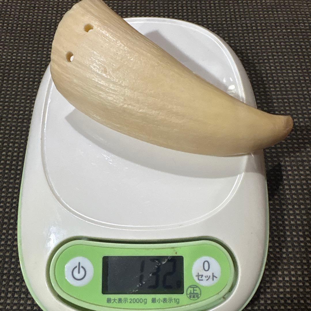 鯨の歯　3本
