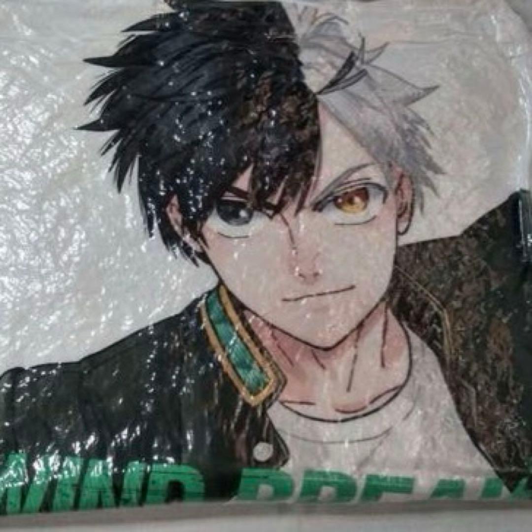 WINDBREAKER くじメイト A賞 スクエアクッション 桜遥